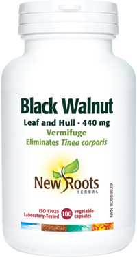 Black Walnut Leaf and Hull