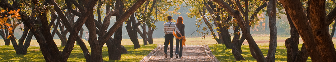 Intensive Intestinal Rejuvenation