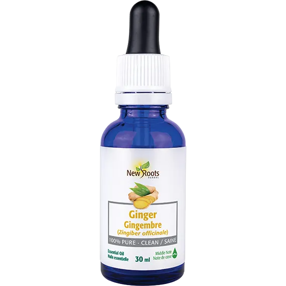 Ginger Essential Oil